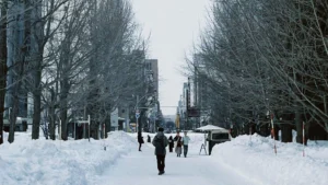 sapporo, japon, viaje a Japón